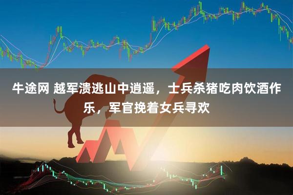 牛途网 越军溃逃山中逍遥，士兵杀猪吃肉饮酒作乐，军官挽着女兵寻欢