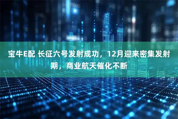 宝牛E配 长征六号发射成功，12月迎来密集发射期，商业航天催化不断